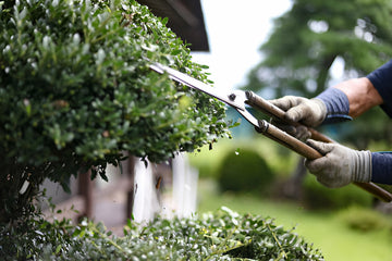 Outils de jardinage